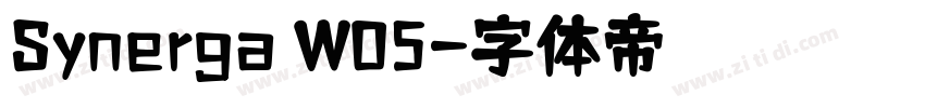 Synerga W05字体转换